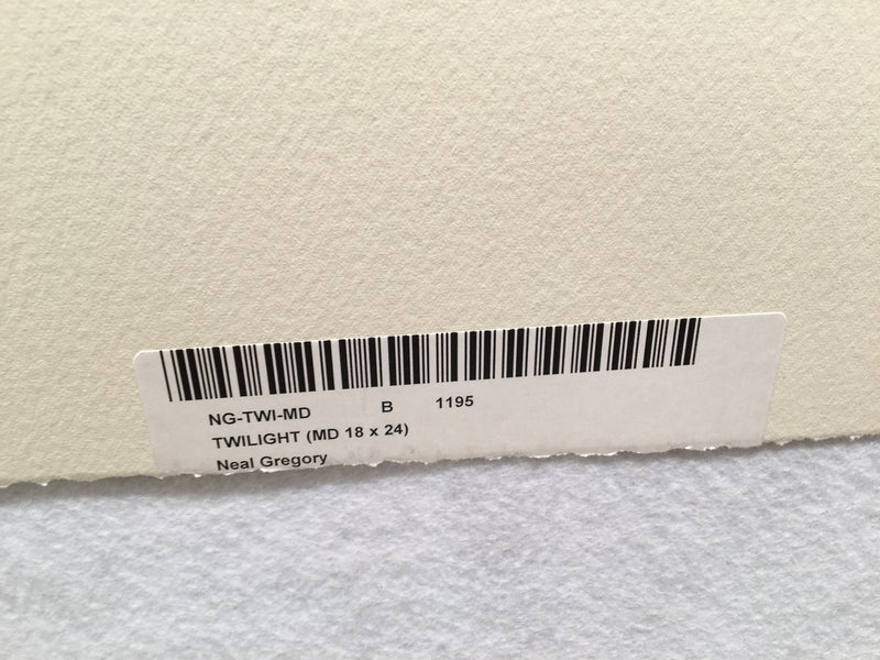 Neal Gregory "Twilight" Signed Abstract Oil Painting on Paper Art   - TvMovieCards.com