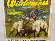 1974 Vanishing Wilderness Window Card Movie Poster 14 x 22 Rex Allen Documentary   - TvMovieCards.com