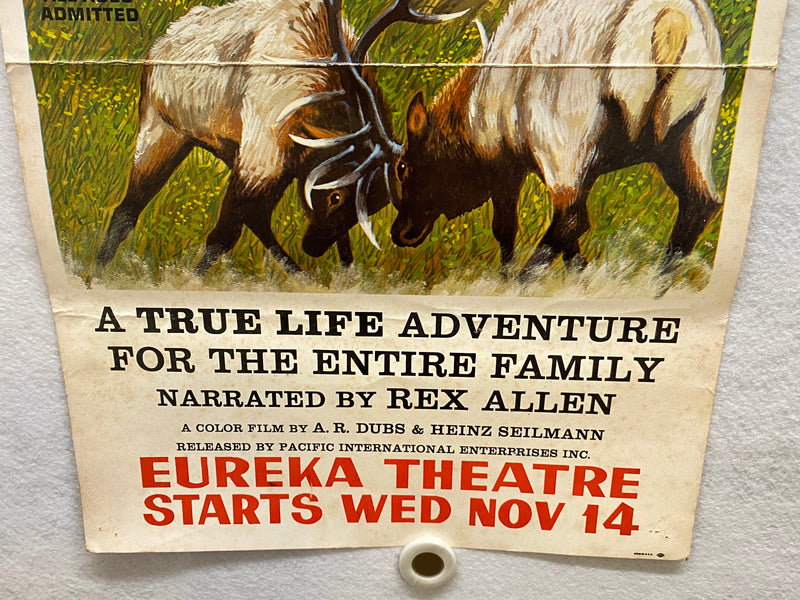1974 Vanishing Wilderness Window Card Movie Poster 14 x 22 Rex Allen Documentary   - TvMovieCards.com