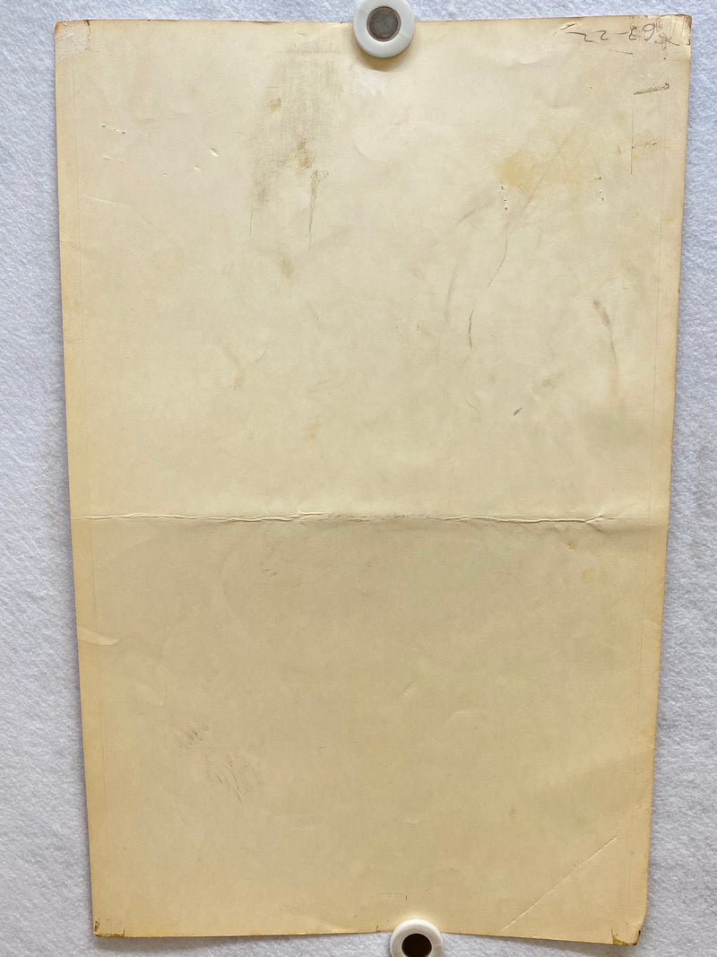 1963 Son of Flubber Window Card Movie Poster 14 x 22 Fred MacMurray Nancy Olson   - TvMovieCards.com