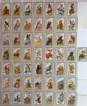 Wildlife America  50 Card Set Factory Boxed  Animals   - TvMovieCards.com