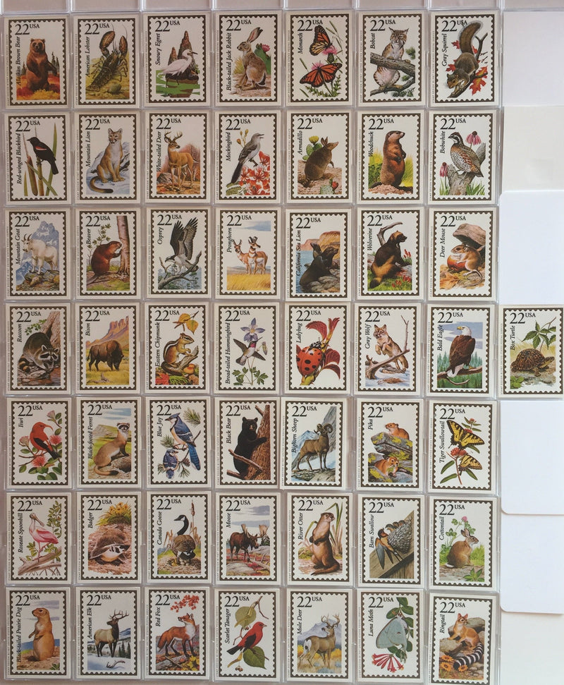 Wildlife America  50 Card Set Factory Boxed  Animals   - TvMovieCards.com