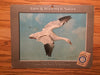 Birds - Arm & Hammer Advertising Store Display Card Sign - Snow Goose  J4   - TvMovieCards.com