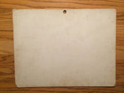 Birds - Arm & Hammer Advertising Store Display Card Sign - Snow Goose  J4   - TvMovieCards.com