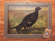 Birds - Arm & Hammer Advertising Store Display Card Sign - Black Cock J4   - TvMovieCards.com