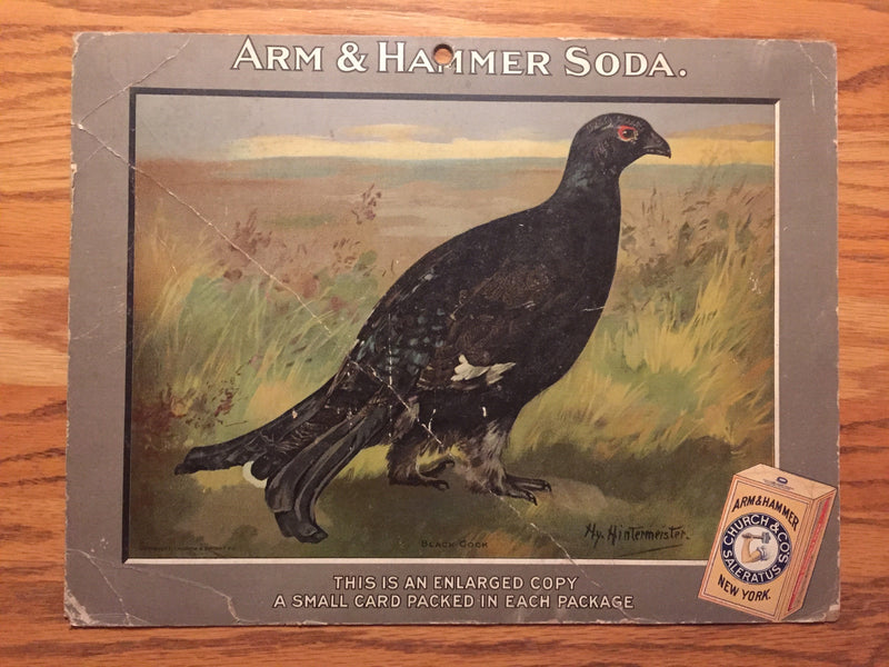 Birds - Arm & Hammer Advertising Store Display Card Sign - Black Cock J4   - TvMovieCards.com