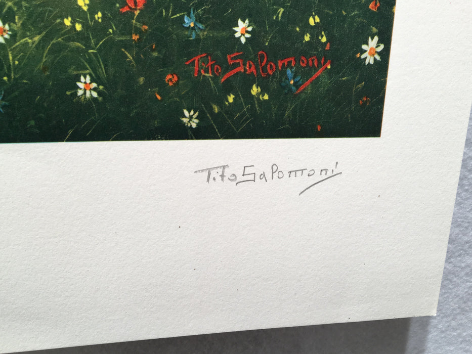 Tito Salomoni Girl Rainbow Signed Numbered 39/100 Lithograph Art Print 21" x 28"   - TvMovieCards.com