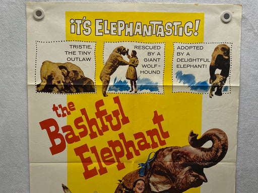 1962 The Bashful Elephant 1SH Movie Poster 27 x 41 Molly McGowan, Helmut Schmid   - TvMovieCards.com