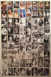 Marilyn Monroe Shaw Family Archive Base Card Set 72 Cards   - TvMovieCards.com