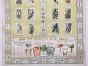 Birds Natures Protectors Advertising Store Display Poster Arm & Hammer J9 Fuerte   - TvMovieCards.com