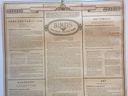 Birds Natures Protectors Advertising Store Display Poster Arm & Hammer J9 Fuerte   - TvMovieCards.com