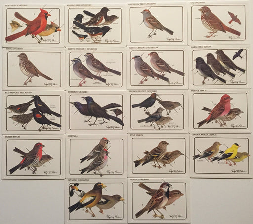 Birds - Discover Roger Tory Peterson Birds Bird Feeder Series 2 Card Set   - TvMovieCards.com