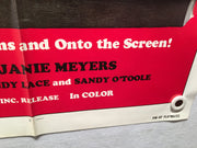 1972 Pin-Up Playmates Original 1SH Movie Poster 27 x 41 Sex Comedy Jamie Meyers   - TvMovieCards.com