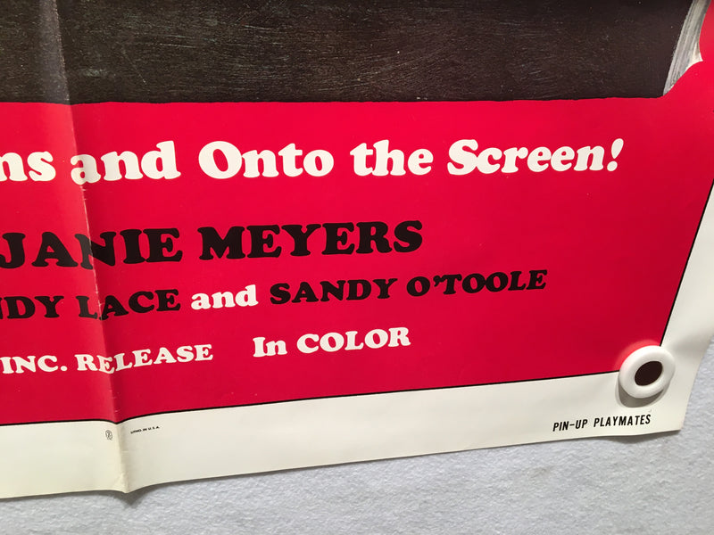 1972 Pin-Up Playmates Original 1SH Movie Poster 27 x 41 Sex Comedy Jamie Meyers   - TvMovieCards.com