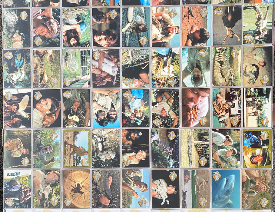 Crocodile Hunter Steve Irwin Base Card Set 72 Cards Dart Flipcards 2002   - TvMovieCards.com