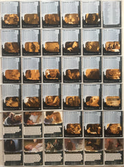 X-Files I Want to Believe Movie Base Card Set 72 Cards Inkworks 2008   - TvMovieCards.com