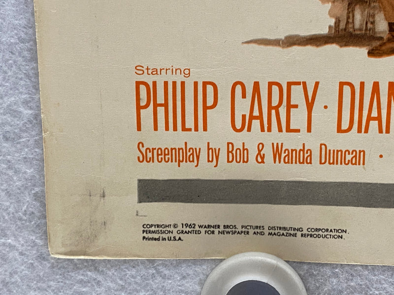1962 Black Gold Insert Movie Poster 14 x 36 Philip Carey, Diane McBain, James Be   - TvMovieCards.com