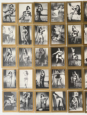 1993 Betty Page Forty Private Peaks Factory Trading Card Set 40 Cards   - TvMovieCards.com