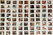 1988 Who Framed Roger Rabbit Album Stickers Card Set 216 Cards Panini   - TvMovieCards.com