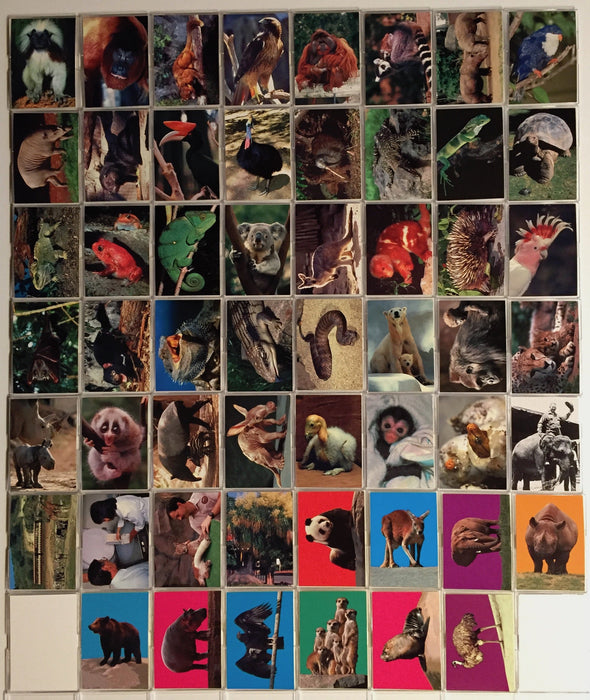 San Diego Zoo Animals of the Wild Base Card Set 110 Cards Cardz 1993   - TvMovieCards.com