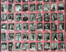 Lucy I Love Pink Front Factory Card Set 110 Cards Unsealed Pacific 1991   - TvMovieCards.com