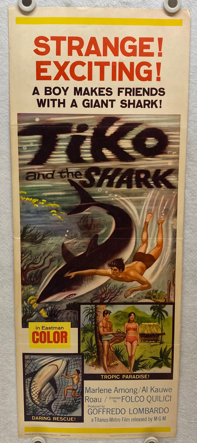 1962 Tiko and the Shark Insert 14x36 Movie Poster Roau, Marlene Among, Al Kauwe   - TvMovieCards.com