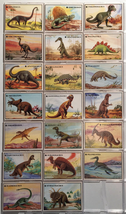 Dinosaurs Dino Cards Vintage Card Set 20 Cards Dino-Card Co. 1987   - TvMovieCards.com