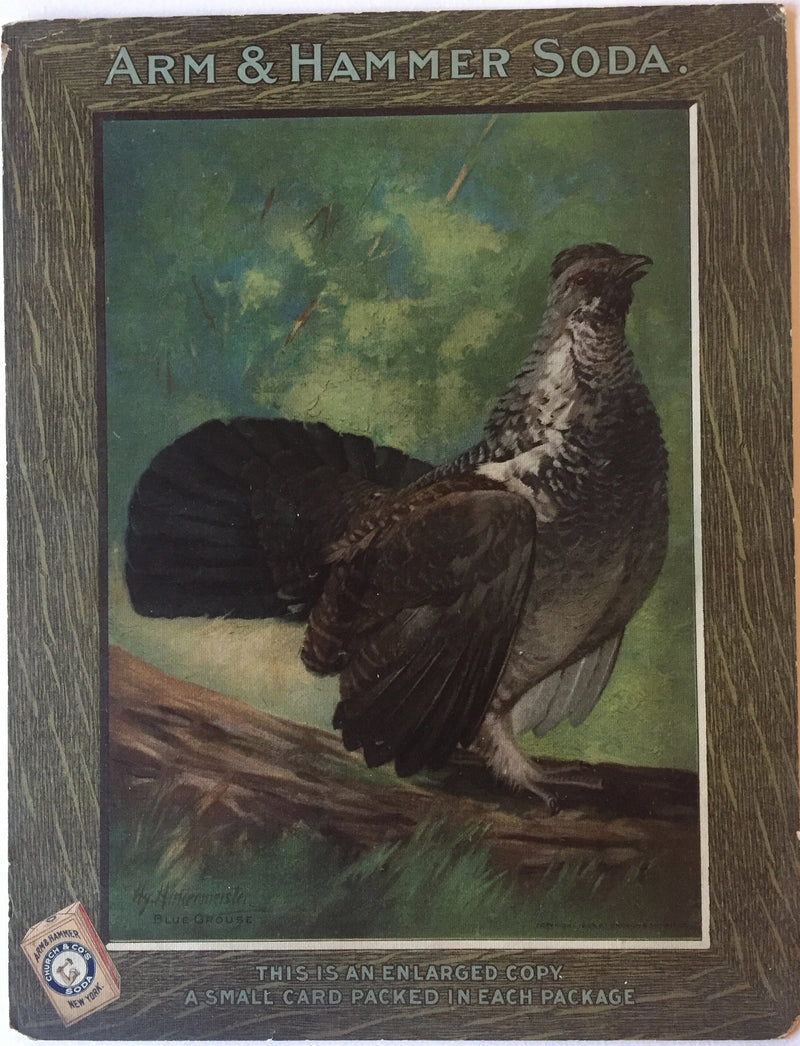 Arm & Hammer Advertising Store Display Card Sign - Blue Grouse J4   - TvMovieCards.com