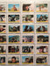 High Chaparral A&BC Vintage Card Set 36 (55 x 81 mm) Cards 1969 U.K.   - TvMovieCards.com
