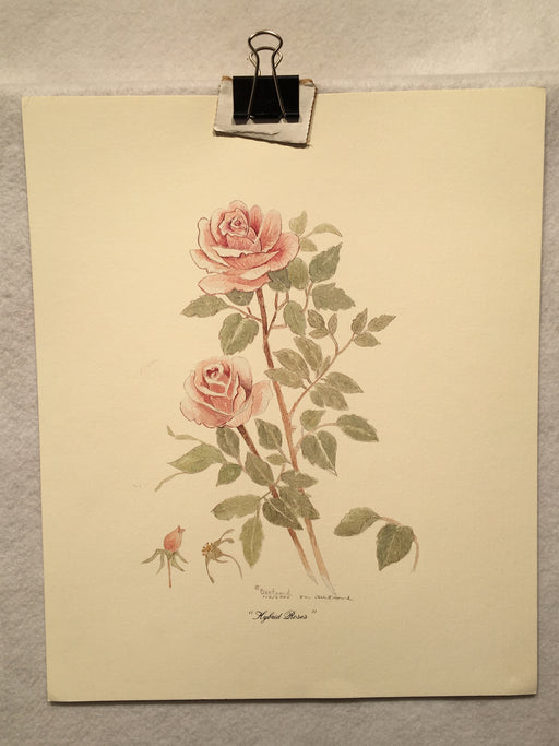 Mary Vincent Bertrand "Hybrid Roses" Limited Edition Signed Print   - TvMovieCards.com