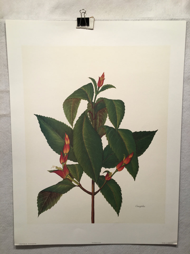 E.R. Saal "The Feeder" Limited Edition Lithograph Print Java Collection   - TvMovieCards.com