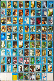 1982 E.T. The Extra-Terrestrial Movie Vintage Trading Base Card Set 87/87 OPC   - TvMovieCards.com