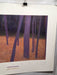 Artbeats 1987 - Fall Trees - Print 23.5" x 31.5"   - TvMovieCards.com