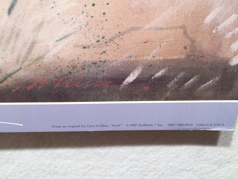 Artbeats 1987 - Gary Collins "Aerie" - Print 25" x 26.5"   - TvMovieCards.com
