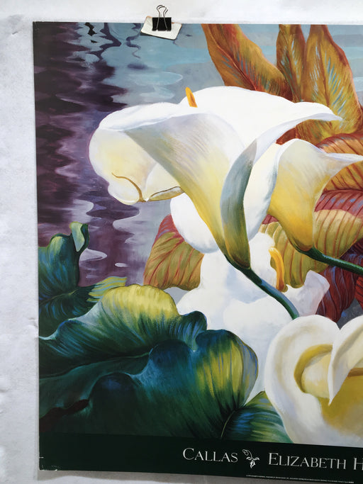 Elizabeth Horning "Callas" Lithograph Art Print 33" x 40"   - TvMovieCards.com