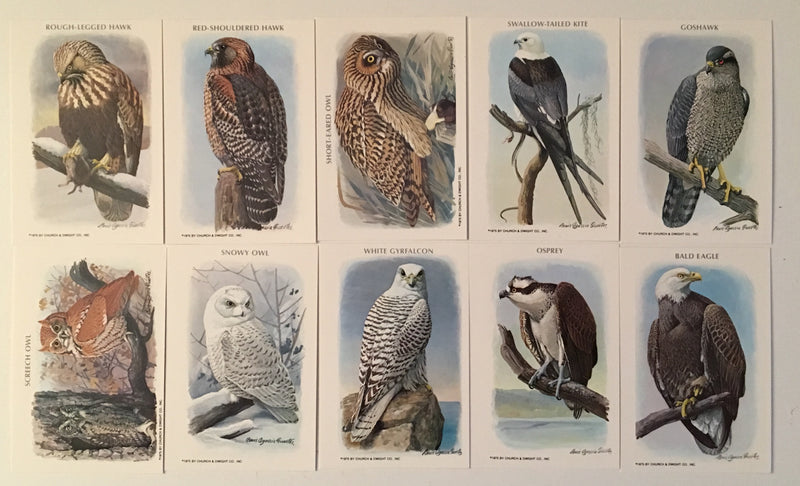 Birds of Prey Series 1 Vintage Card Set 1975 Church & Dwight Co., Inc.   - TvMovieCards.com