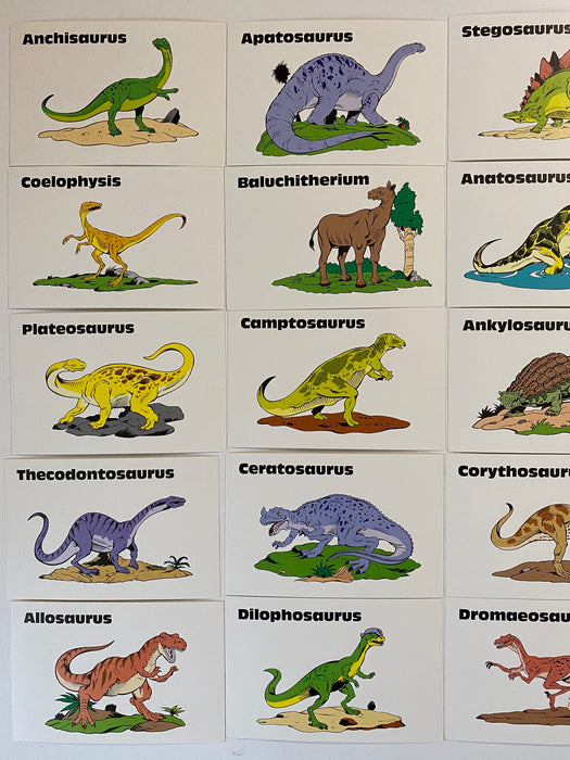 Dinosaurs & Prehistorics Fun-To-Know Boxed Card Set 27 Flashcards Trend Ent.   - TvMovieCards.com