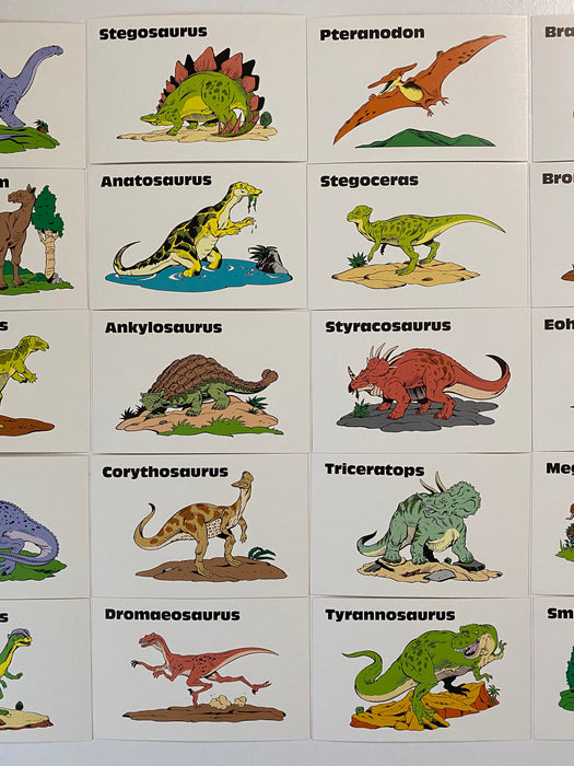 Dinosaurs & Prehistorics Fun-To-Know Boxed Card Set 27 Flashcards Trend Ent.   - TvMovieCards.com