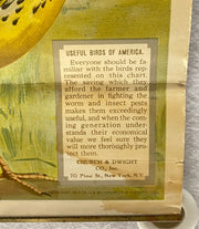Useful Birds of America Advertising Store Display Poster Arm & Hammer J5 17X25   - TvMovieCards.com