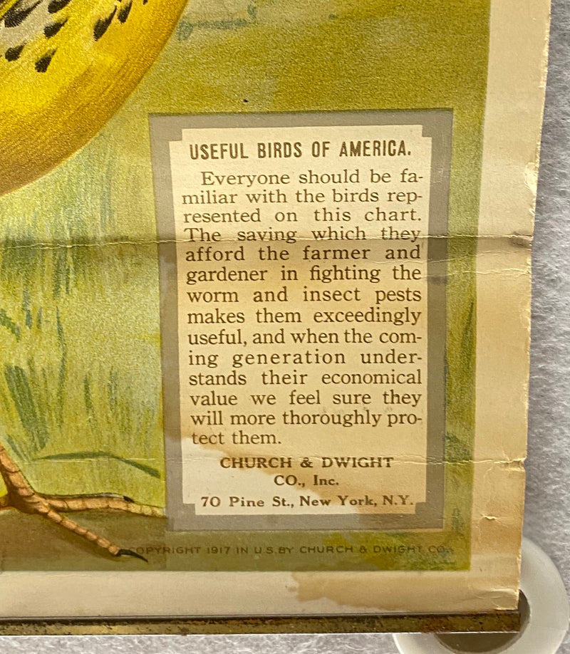 Useful Birds of America Advertising Store Display Poster Arm & Hammer J5 17X25   - TvMovieCards.com