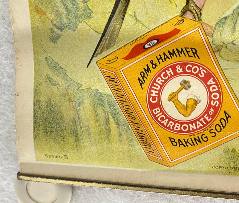 Useful Birds of America Advertising Store Display Poster Arm & Hammer J5 17X25   - TvMovieCards.com