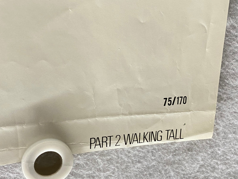 1975 Walking Tall Part 2 II Original 1SH Movie Poster 27 x 41 Bo Svenson, Luke A   - TvMovieCards.com