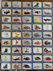 Beanie Baby (Unofficial) Trading Cards Base Card Set 100 Cards 1998   - TvMovieCards.com