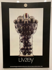 John Livzey Photography Gallery Exhibition Art Poster Hollywood CA   - TvMovieCards.com