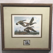 1984 Oregon Waterfowl Duck Stamp & Framed Print SIGNED Michael Sieves   - TvMovieCards.com