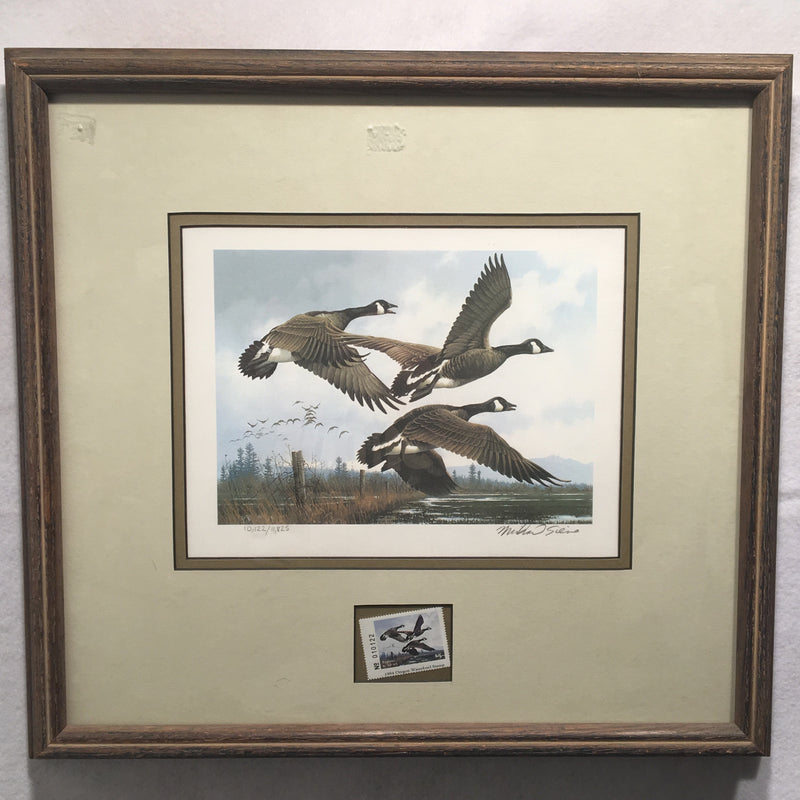 1984 Oregon Waterfowl Duck Stamp & Framed Print SIGNED Michael Sieves   - TvMovieCards.com