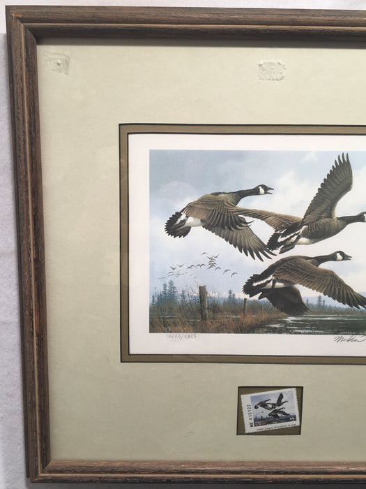 1984 Oregon Waterfowl Duck Stamp & Framed Print SIGNED Michael Sieves   - TvMovieCards.com