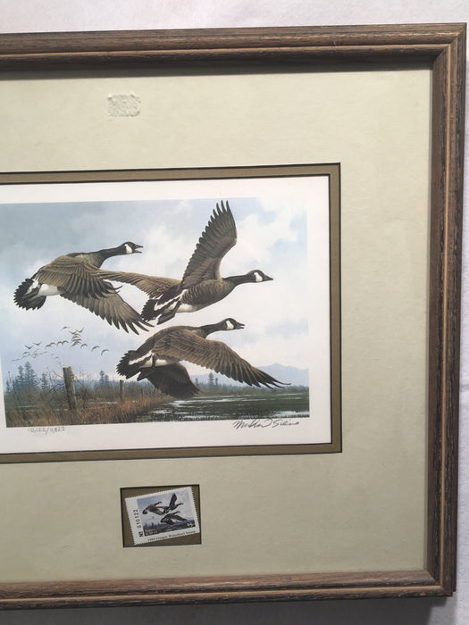 1984 Oregon Waterfowl Duck Stamp & Framed Print SIGNED Michael Sieves   - TvMovieCards.com