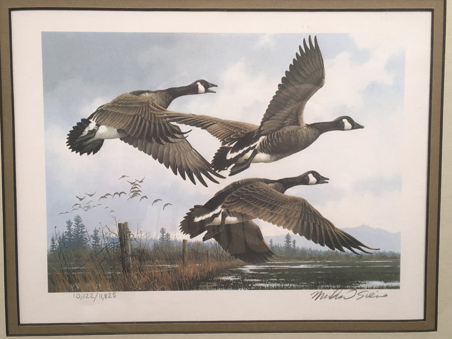 1984 Oregon Waterfowl Duck Stamp & Framed Print SIGNED Michael Sieves   - TvMovieCards.com