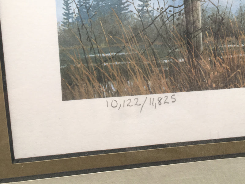 1984 Oregon Waterfowl Duck Stamp & Framed Print SIGNED Michael Sieves   - TvMovieCards.com